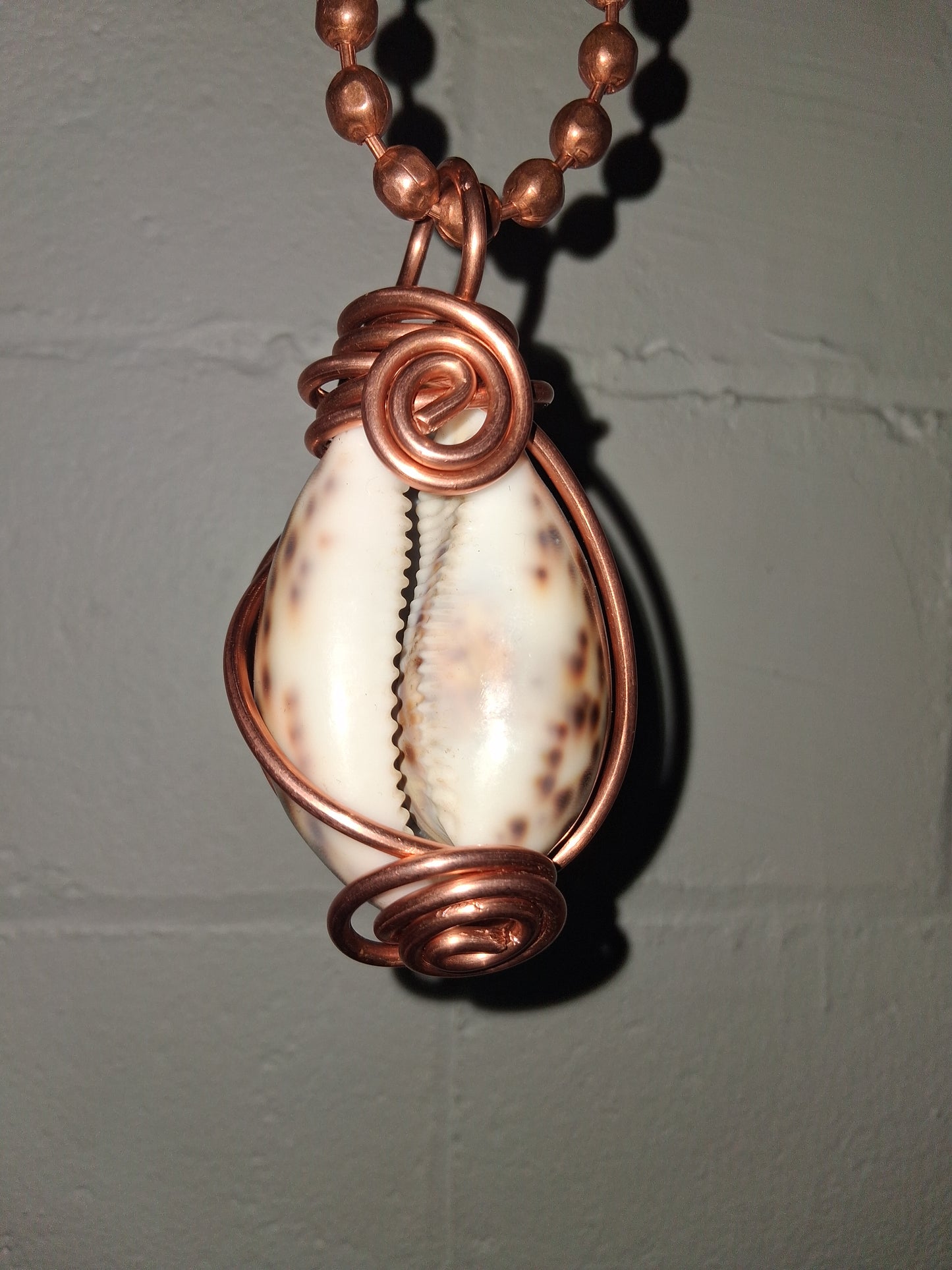 Tiger Cowrie Shell Lantern