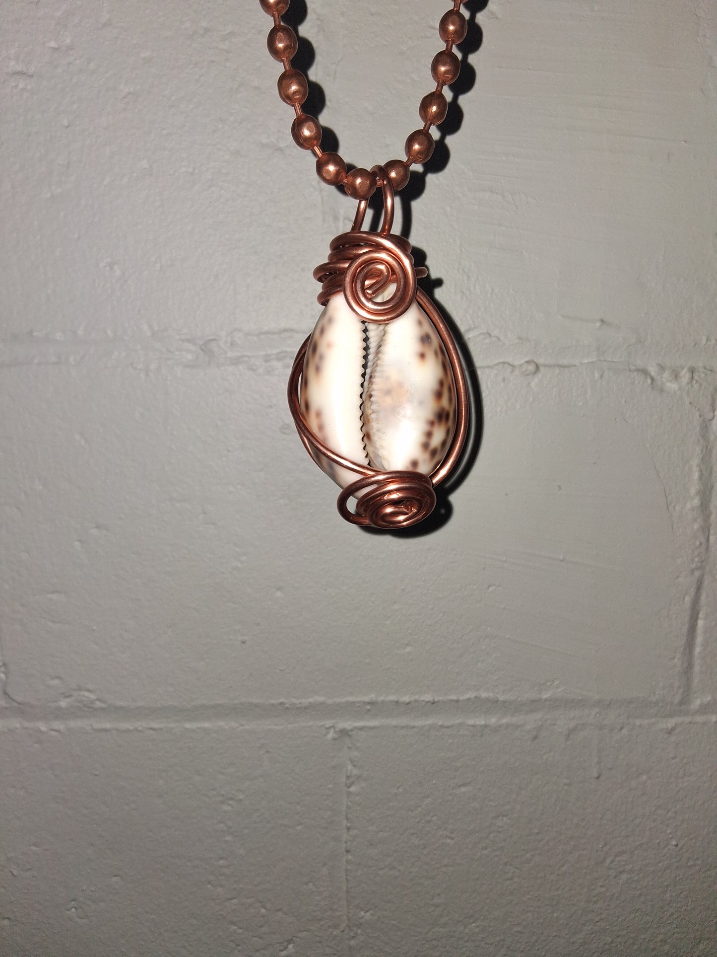 Tiger Cowrie Shell Lantern