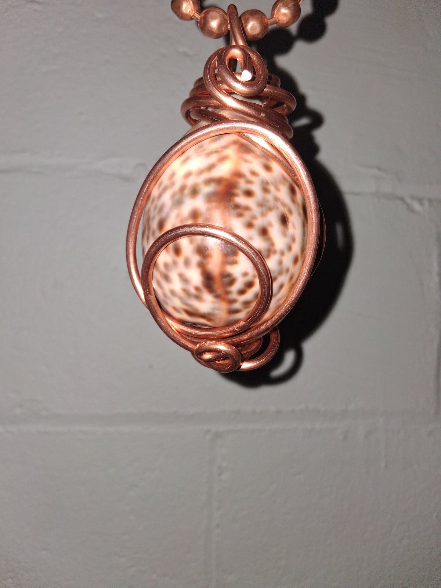 Tiger Cowrie Shell Lantern