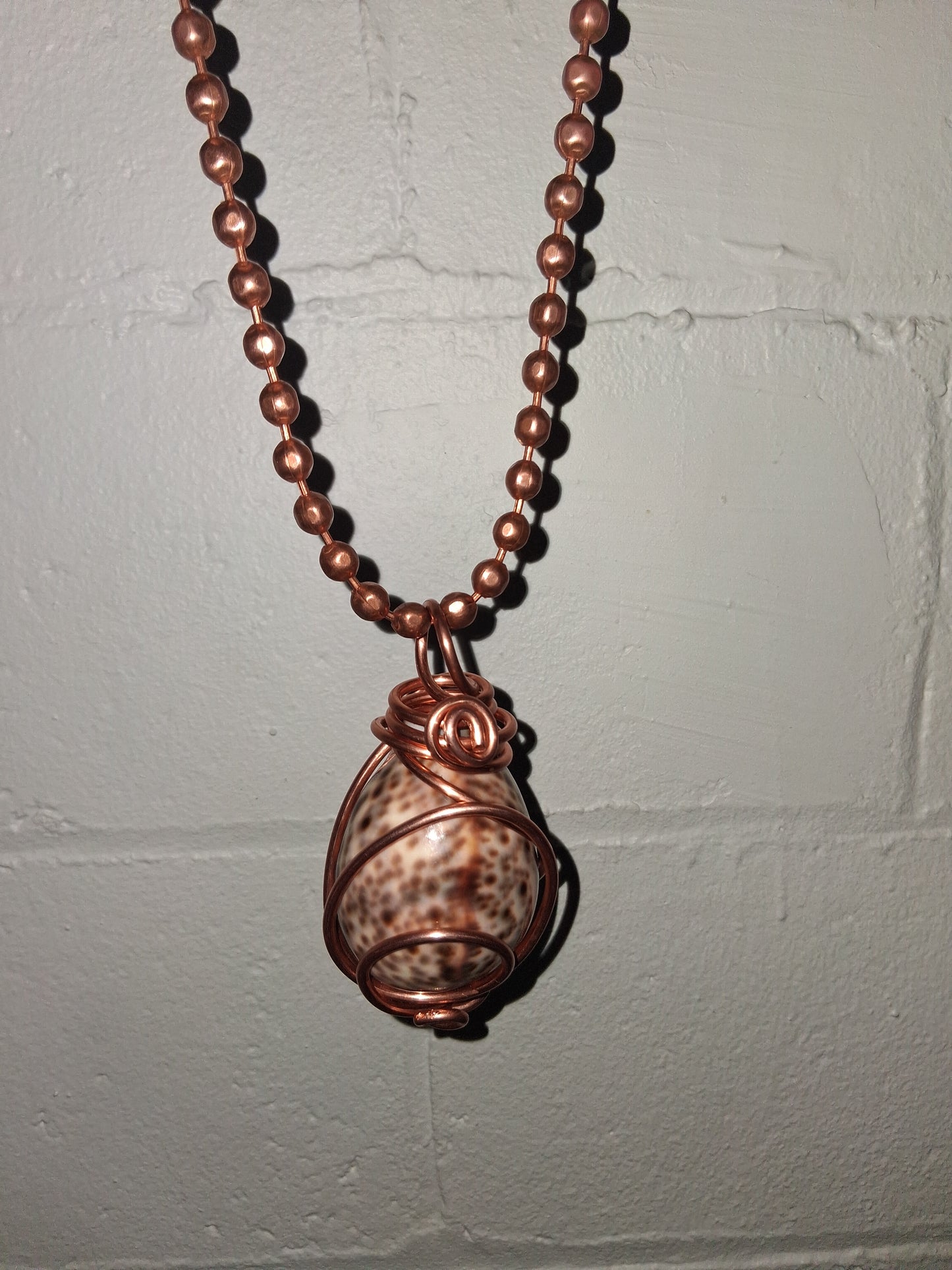 Tiger Cowrie Shell Lantern