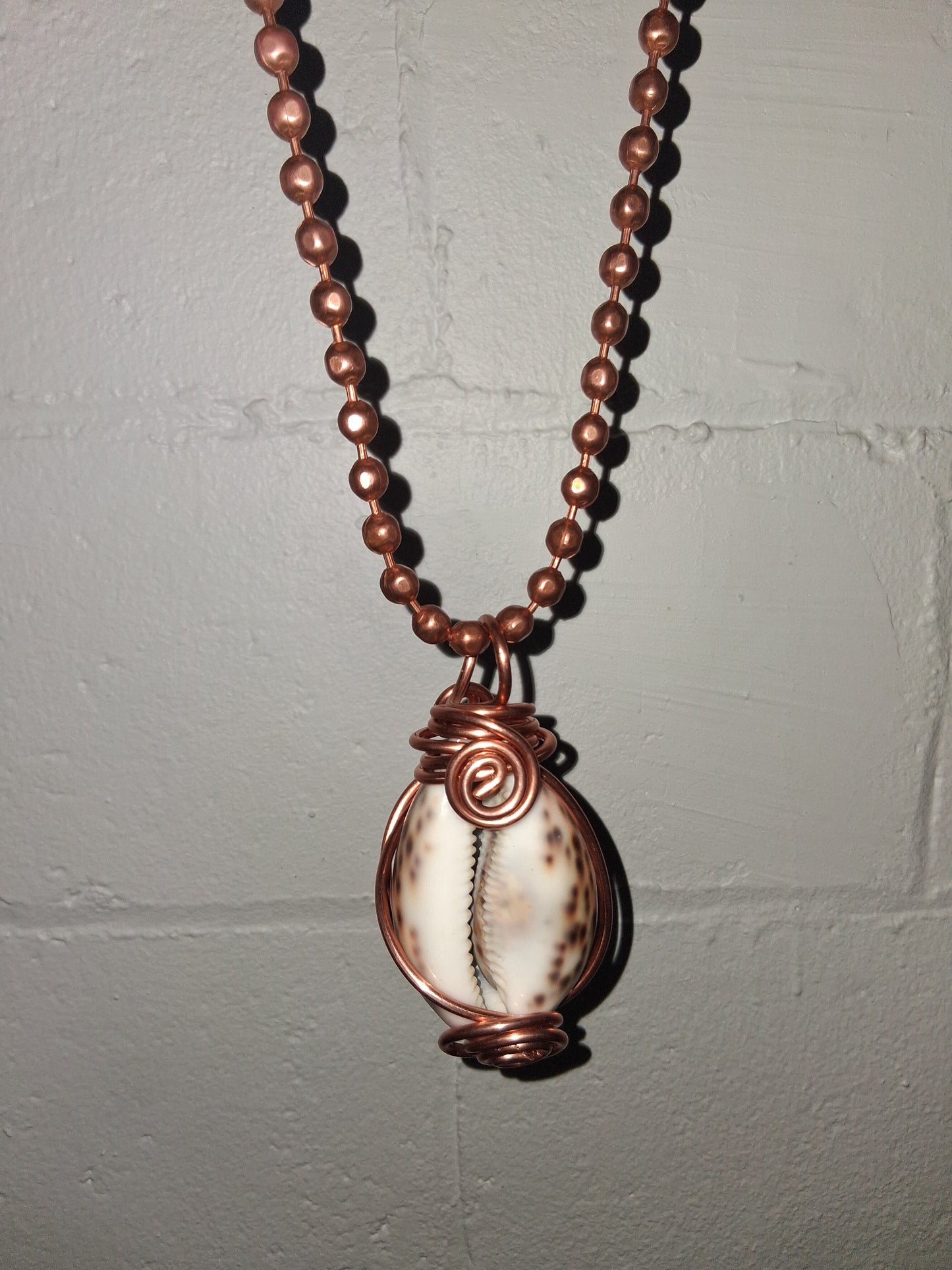 Tiger Cowrie Shell Lantern