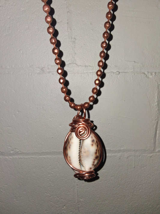 Tiger Cowrie Shell Lantern